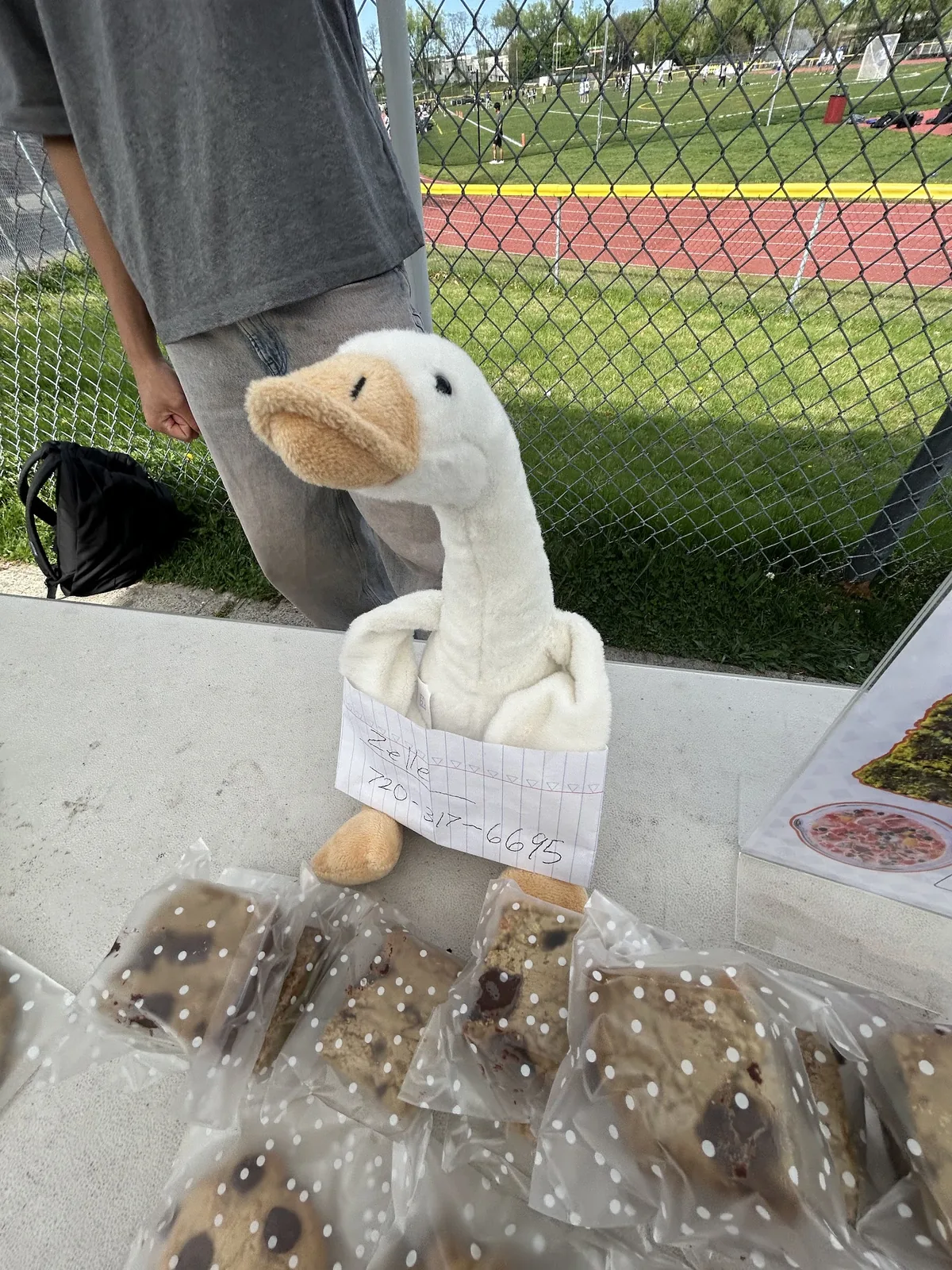 FinGoose mascot at the bake sale table