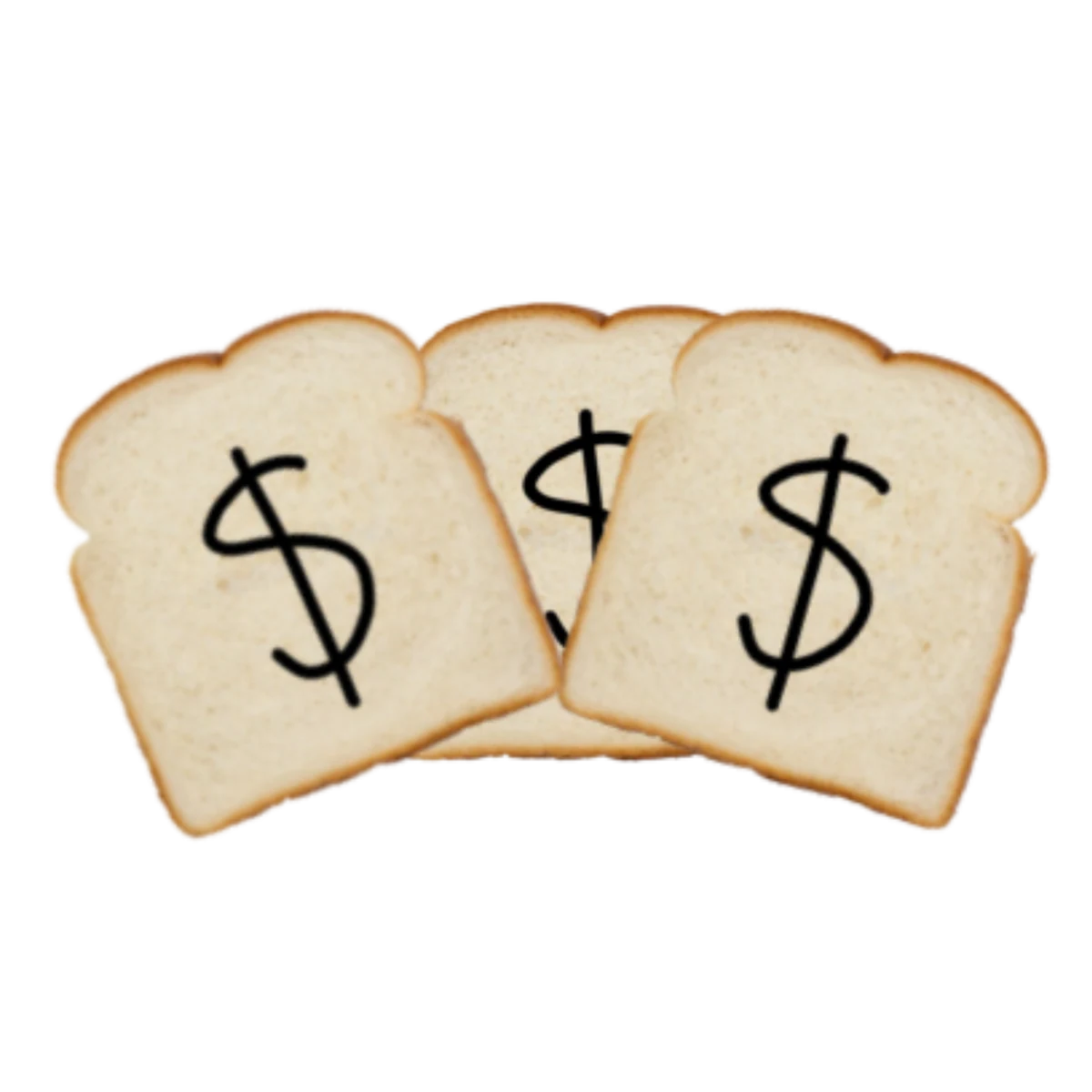 FinGoose financial-literacy book artwork